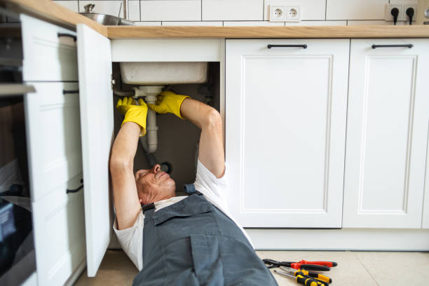 Best Commercial Plumbing Services  in Wellsville, MO
